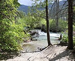The creek along the Lost Lake Nature Trail in Whistler, BC