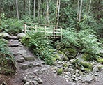 A small wooden bridge crosses a creek along the Lower Hollyburn route in West Vancouver