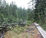 A view of Blue Gentian Lake along the Lower Hollyburn Trail