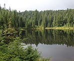 A view of West Lake on Cypress Mountain along the Lower Hollyburn Trail