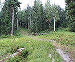 The trail heads uphill through the forests near the area where the old Hollyburn Lodge was located