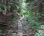 The section of trail along Lower Hollyburn follows some make-shift boardwalks