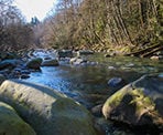 Lynn Creek in North Vancouver