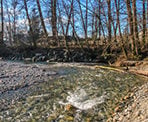 A rocky beach along Lower Lynn Creek
