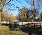 The trail through Bridgman Park in North Vancouver