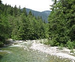 A view looking upstream along Lynn Creek in North Vancouver, BC