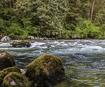 The Mamquam River in Squamish, BC