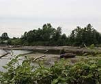 A view of the Salt Marsh area of Maplewood Flats Conservation Area in North Vancouver
