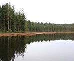 The reflection from the calm Mike Lake during the winter in Golden Ears Provincial Park