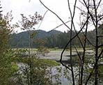 The first view of the Lower Marsh in Minnekhada Regional Park