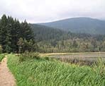 The Mid-Marsh Trail passes between the Upper and Lower Marshes in Minnekhada Regional Park