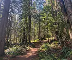 The Cranks Trail in Mission on the way to Moon Rock