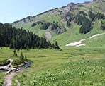 The view of the meadows near the start of the hike to the top of Mount Cheam