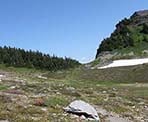 Look up at the view as you hike into the alpine area on the way to Mount Cheam