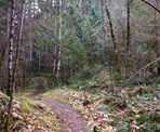 The trail to Mount Daniel just after it leaves the gravel road and before the steep section