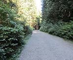 The Old Grouse Mountain Highway on the way up to Mount Fromme in North Vancouver