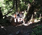 A rope near the top of Mount Gardner to help pull yourself up the steep section