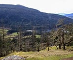 A partial view of Burgoyne Bay on the trail to Mount Maxwell Provincial Park