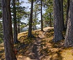 The trail next to the viewpoint on Mount Menzies