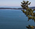 A sailboat can be seen from the view on Mount Menzies