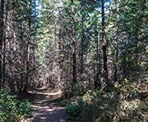 The trail to the top of Mount Norman on Pender Island