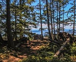 The trail just before the viewpoint at the top of Mount Norman