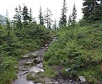 The Mount Strachan trail in Cypress Provincial Park
