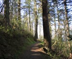 The trail at the top of Mount Thom in Chilliwack, BC