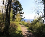 A view from the Mount Thom Trail looking out over Chilliwack, BC