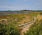 The view along the trail at Mud Bay Park