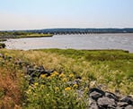 The view looking towards the train bridge at Mud Bay Park