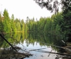 A view of Lost Lake in Mundy Park in Coquitlam, BC