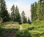 The hiking trail to Mystery Lake from the Mount Seymour parking lot