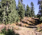 The scenery along the trail to Mystery Lake in Mount Seymour Provincial Park