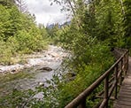 The view of Lynn Creek near the beginning of the hike to Norvan Falls