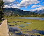 Boardwalks along the One Mile Lake route that circles the lake
