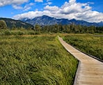The boardwalks and scenic mountains near One Mile Lake in Pemberton, BC