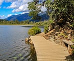 A bench along the trail around One Mile Lake in Pemberton