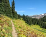 The hiking trail beyond Taylor Meadows heading towards Panorama Ridge in Garibaldi Provincial Park