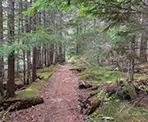 The trail near Green Lake heading towards the Parkhurst Ghost Town