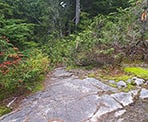 The junction to Paton Peak or Coliseum Mountain