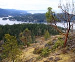 A view looking across Pender Harbour from Pender Hill on the Sunshine Coast