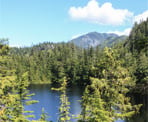 Petgill Lake is down below and surrounded by trees