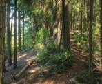 The trail continues past Petgill Lake to an viewpoint