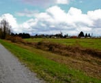 The Trans Canada Trail is part of the Pitt River Regional Greenway in Pitt Meadows