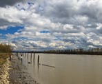 The view along the Fraser River near the Pitt River Regional Greenway