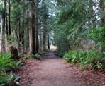 The trail that leads away from the playground area at Porpoise Bay