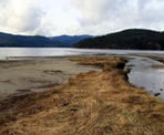 A view of the Sechelt Inlet from the estuary at Porpoise Bay Provincial Park