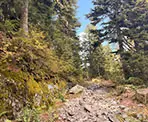 The rugged and rocky trail on the way to Pump Peak
