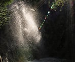 Rainbow Falls with a bit of sun peering through the trees